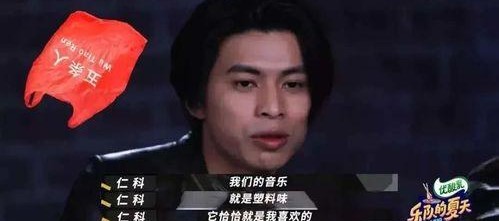 国产你懂,揭秘国产你懂背后的创新与实力